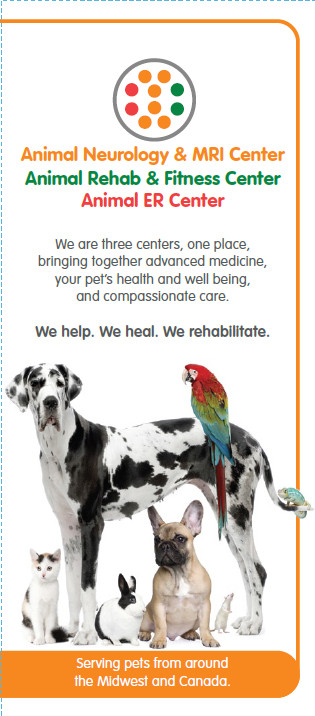 New collateral piece for specialty hospital